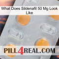 What Does Sildenafil 50 Mg Look Like 24